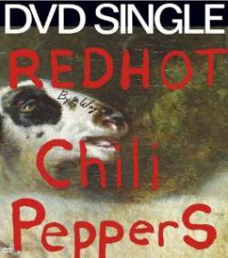 Red Hot Chili Peppers : By the Way (DVD)